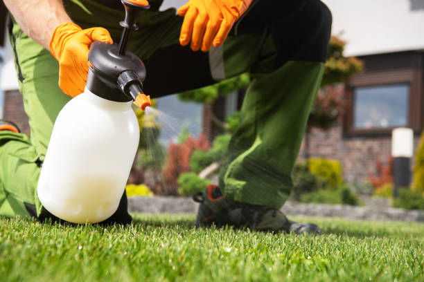 Best Local Pest Control Services  in Shelby, OH