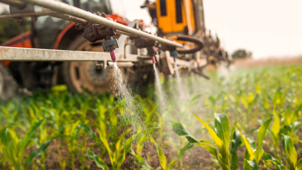 Best Ant Control Services  in Shelby, OH